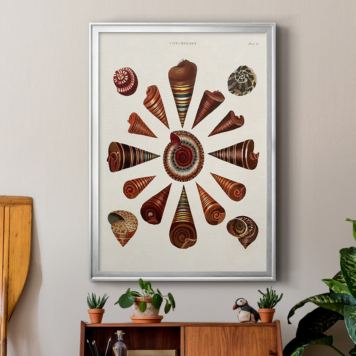 Spiral Shell Formation IV Premium Framed Print - Ready to Hang