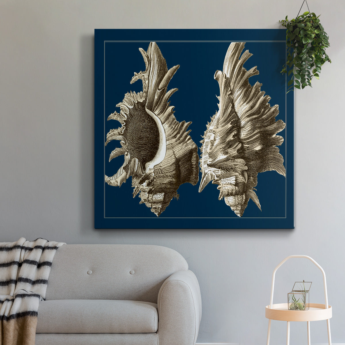 Conch Shells on Navy II-Premium Gallery Wrapped Canvas - Ready to Hang