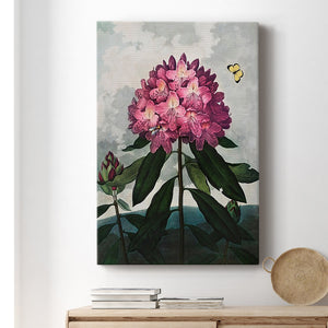 Temple of Flora X Premium Gallery Wrapped Canvas - Ready to Hang