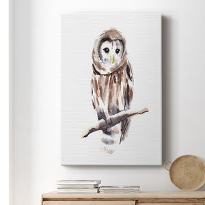Barred Owl Impressions I Premium Gallery Wrapped Canvas - Ready to Hang