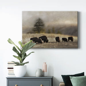 Ridge Grazing Premium Gallery Wrapped Canvas - Ready to Hang