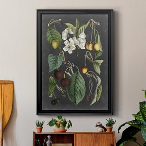 Orchard Varieties II Premium Framed Print - Ready to Hang