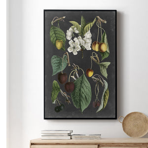 Orchard Varieties II Premium Gallery Wrapped Canvas - Ready to Hang