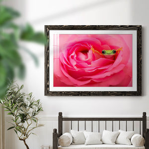 Hanging On VIII-Premium Framed Print - Ready to Hang