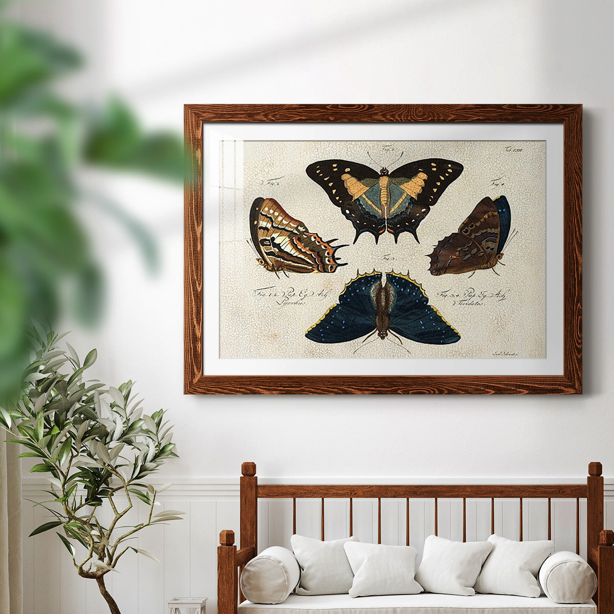 Crackled Butterflies IV-Premium Framed Print - Ready to Hang