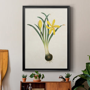 Flowers of the Seasons VI Premium Framed Print - Ready to Hang