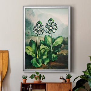 Temple of Flora XI Premium Framed Print - Ready to Hang