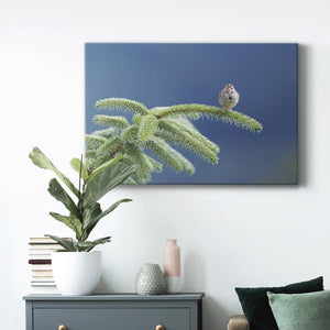 Evergreen Perch Premium Gallery Wrapped Canvas - Ready to Hang