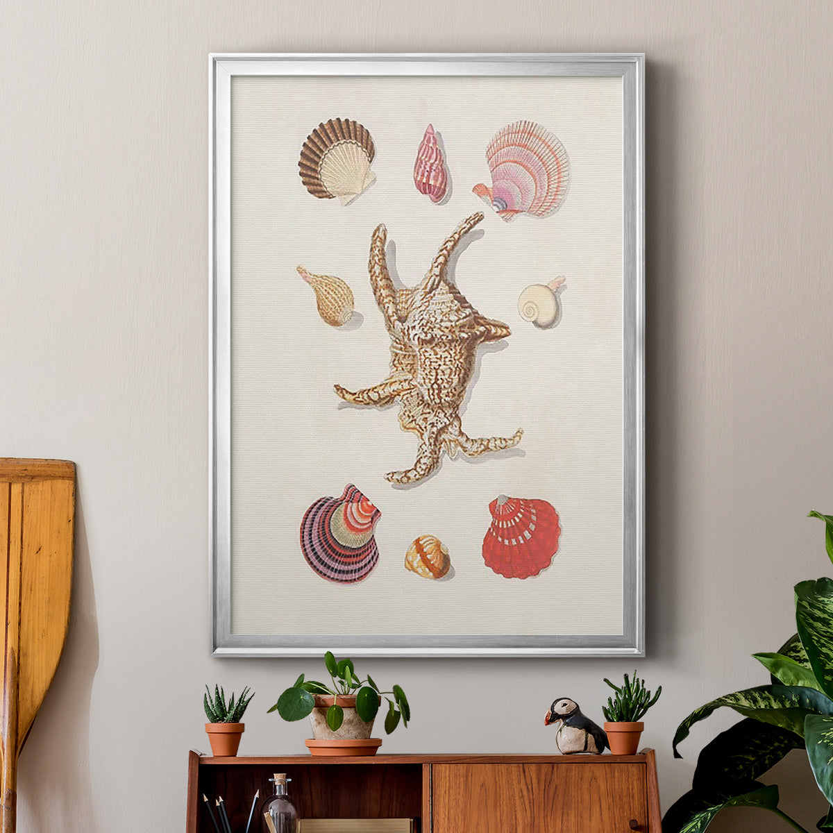 Knorr Shells & Coral II Premium Framed Print - Ready to Hang