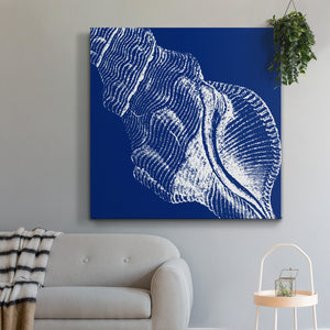Saturated Shell III-Premium Gallery Wrapped Canvas - Ready to Hang