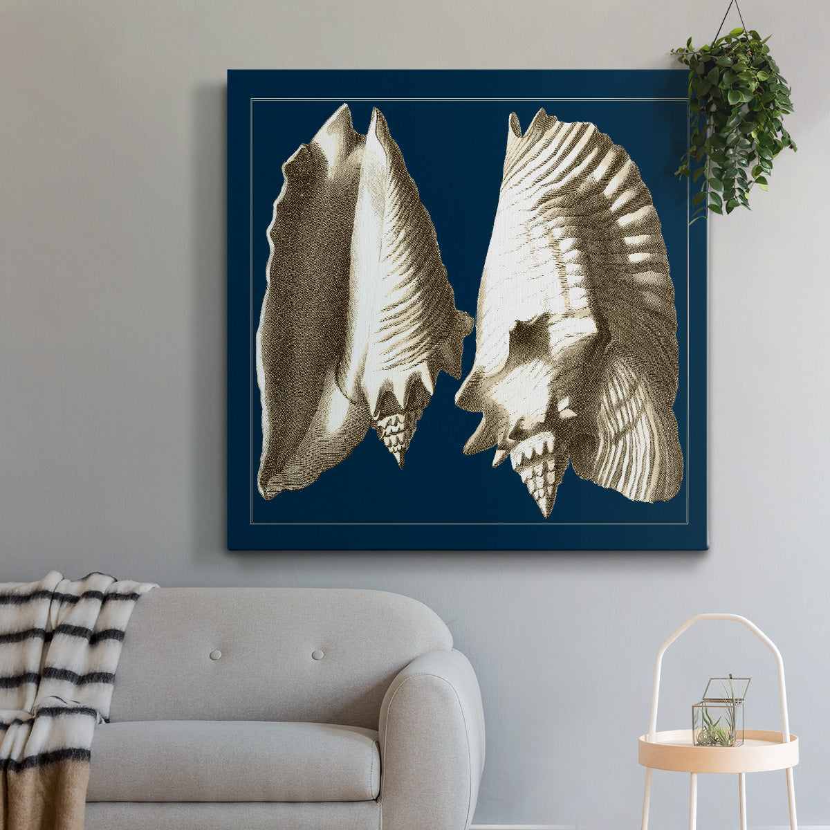 Conch Shells on Navy I-Premium Gallery Wrapped Canvas - Ready to Hang