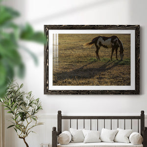 Long Shadow-Premium Framed Print - Ready to Hang