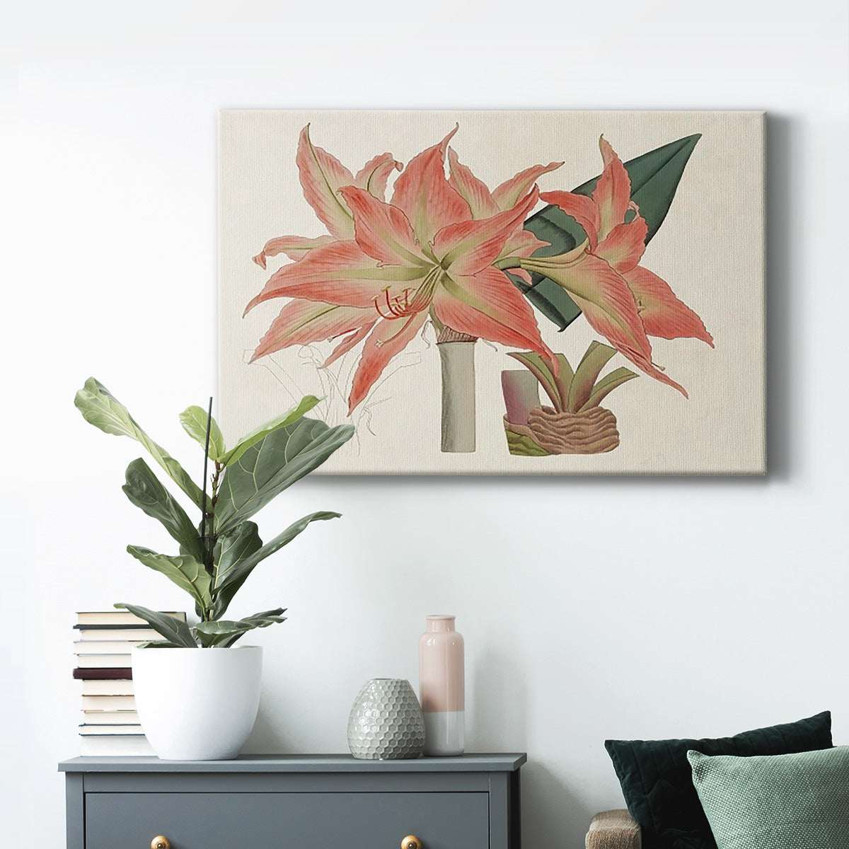 Amaryllis Varietals III Premium Gallery Wrapped Canvas - Ready to Hang
