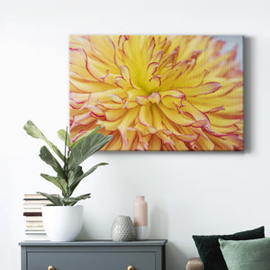 Blooms III Premium Gallery Wrapped Canvas - Ready to Hang