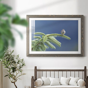 Evergreen Perch-Premium Framed Print - Ready to Hang