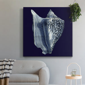 Indigo Shells I-Premium Gallery Wrapped Canvas - Ready to Hang