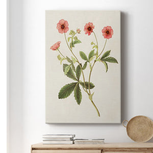 Flowers of the Seasons VIII Premium Gallery Wrapped Canvas - Ready to Hang