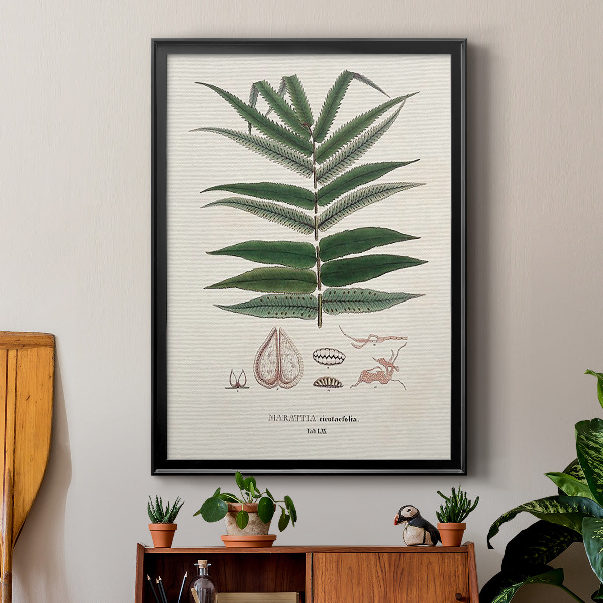 Botanical Society Ferns XII Premium Framed Print - Ready to Hang