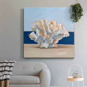 Coral By the Shore II-Premium Gallery Wrapped Canvas - Ready to Hang