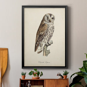 French Owls III Premium Framed Print - Ready to Hang