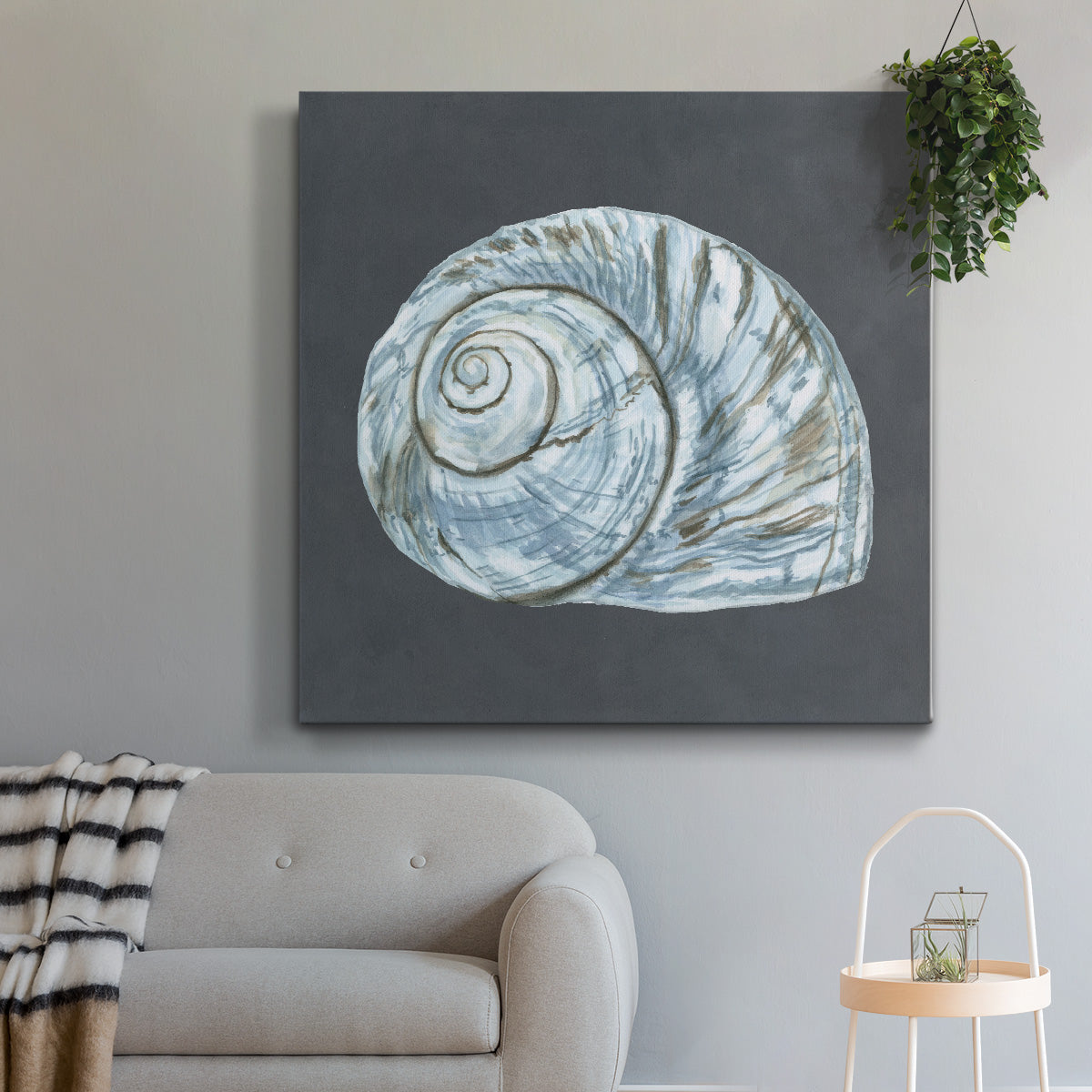 Shell on Slate VIII-Premium Gallery Wrapped Canvas - Ready to Hang