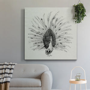 Ebony Plumed Peacock I-Premium Gallery Wrapped Canvas - Ready to Hang