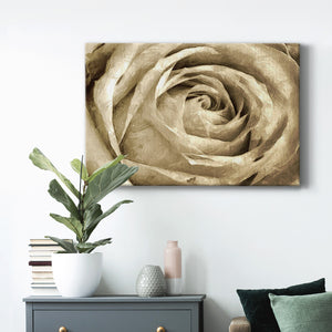 Neutral Wall Flower IV Premium Gallery Wrapped Canvas - Ready to Hang