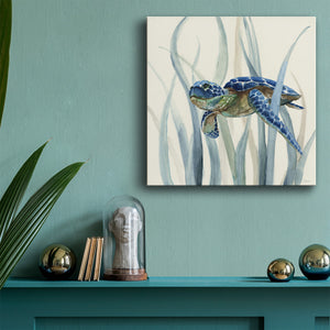 Turtle in Seagrass II - Canvas Art Print