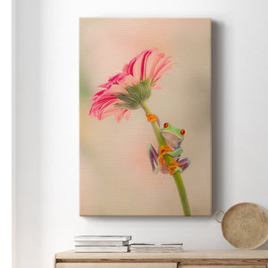 Hanging On I Premium Gallery Wrapped Canvas - Ready to Hang