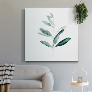 Summer Olive Branch I-Premium Gallery Wrapped Canvas - Ready to Hang