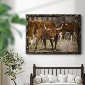 Longhorns-Premium Framed Canvas - Ready to Hang