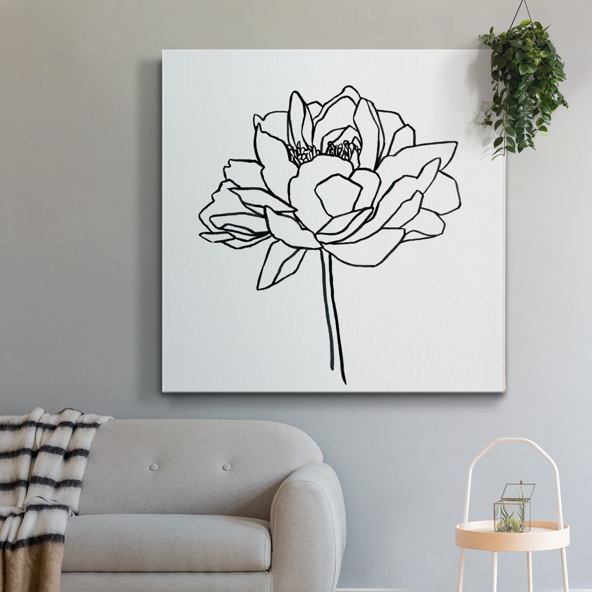 Peony Contour II-Premium Gallery Wrapped Canvas - Ready to Hang