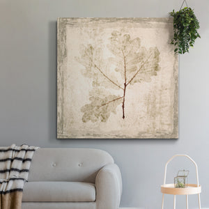 Stone Leaf III-Premium Gallery Wrapped Canvas - Ready to Hang