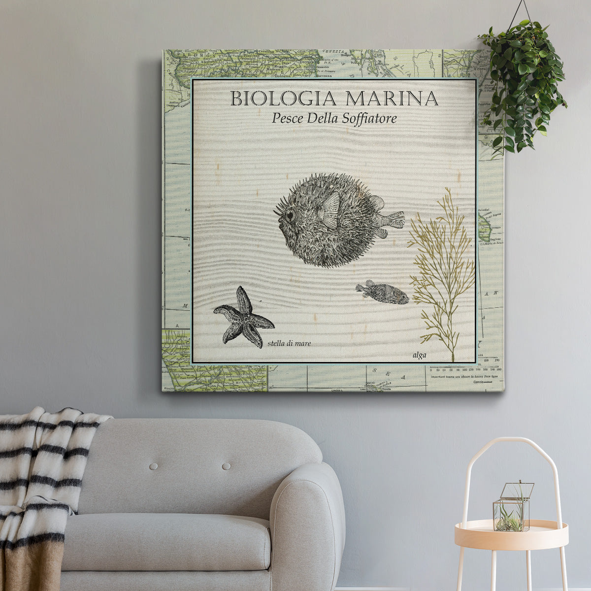 Biologia Marina II-Premium Gallery Wrapped Canvas - Ready to Hang
