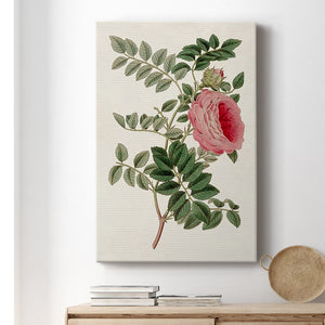 Pink Floral Mix I Premium Gallery Wrapped Canvas - Ready to Hang