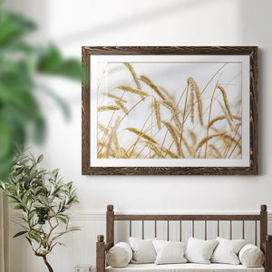 Wheat-Premium Framed Print - Ready to Hang