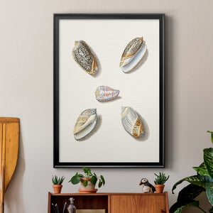 Pastel Knorr Shells III Premium Framed Print - Ready to Hang