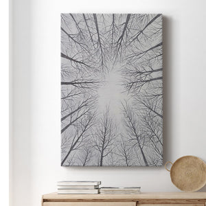 Deciduous Canopy II Premium Gallery Wrapped Canvas - Ready to Hang