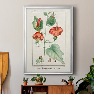 Turpin Tropical Botanicals IV Premium Framed Print - Ready to Hang