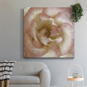Wall Flower VI-Premium Gallery Wrapped Canvas - Ready to Hang
