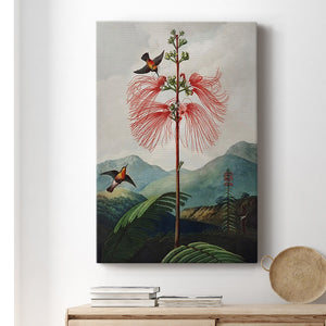 Temple of Flora VIII Premium Gallery Wrapped Canvas - Ready to Hang