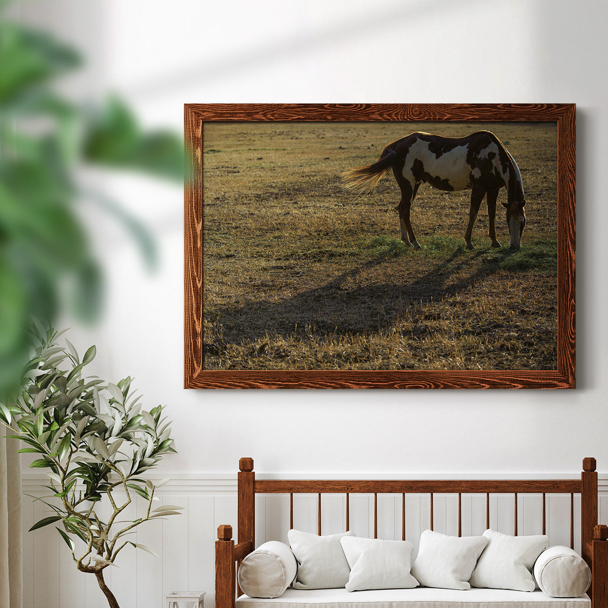 Long Shadow-Premium Framed Canvas - Ready to Hang