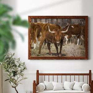 Longhorns-Premium Framed Canvas - Ready to Hang