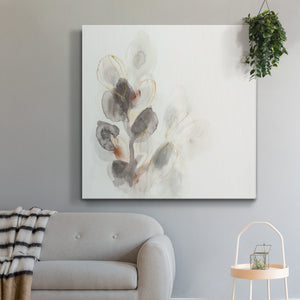 Seed Pod I-Premium Gallery Wrapped Canvas - Ready to Hang