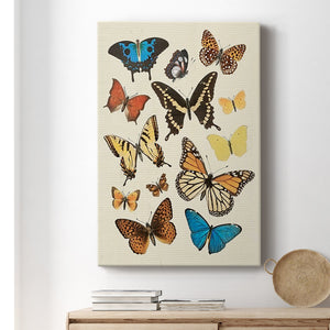 Collected Flutter II Premium Gallery Wrapped Canvas - Ready to Hang