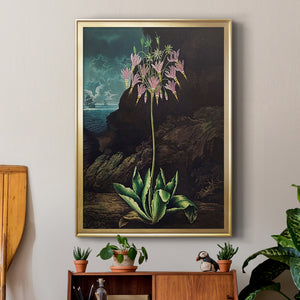 Temple of Flora II Premium Framed Print - Ready to Hang