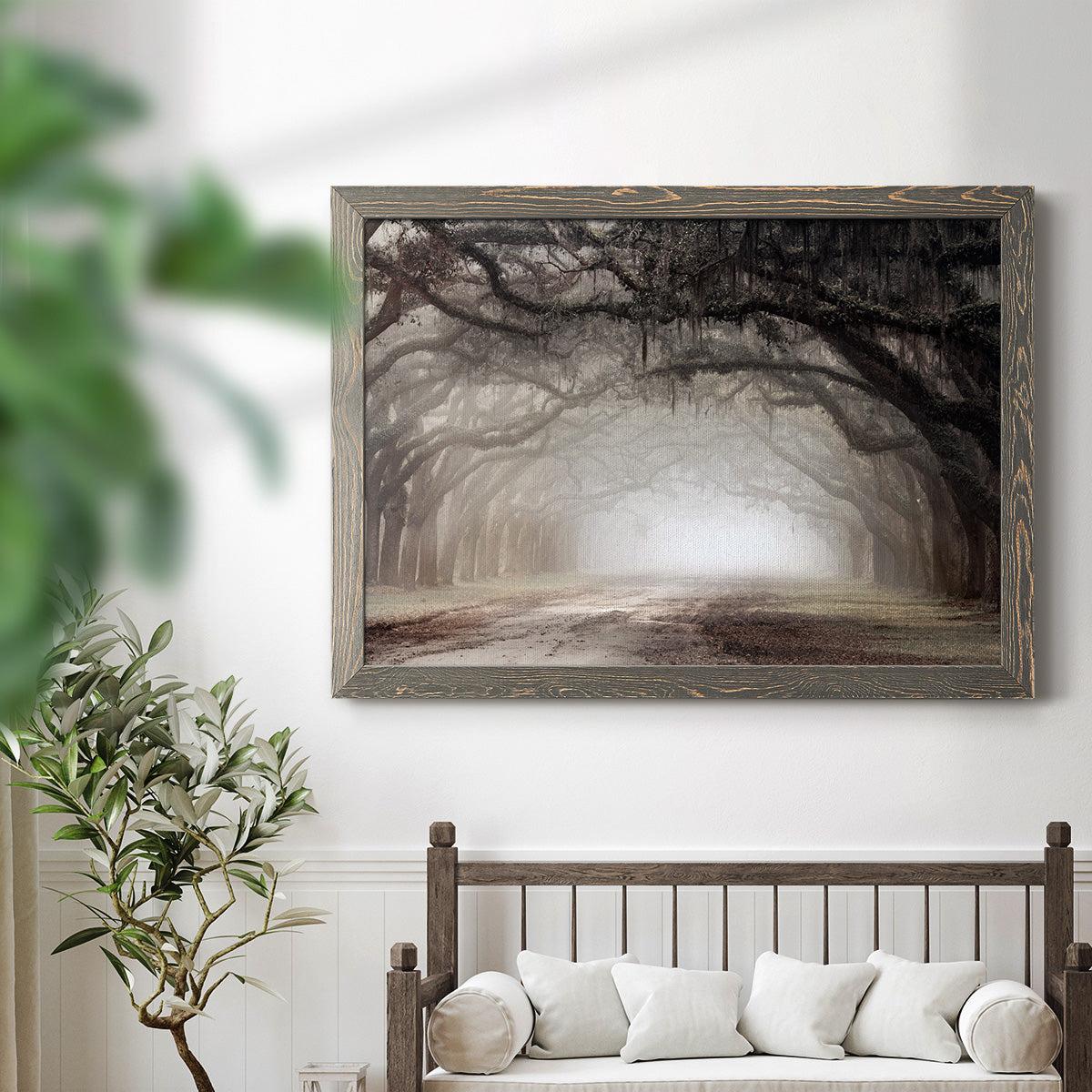 Timeless Plantation Drive-Premium Framed Canvas - Ready to Hang