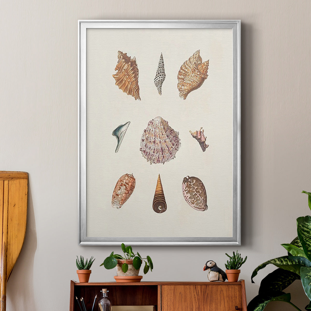 Knorr Shells & Coral VI Premium Framed Print - Ready to Hang