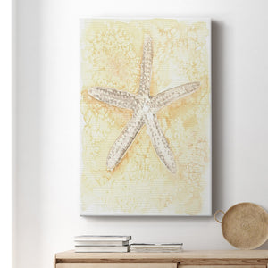 Salty Seashell I Premium Gallery Wrapped Canvas - Ready to Hang