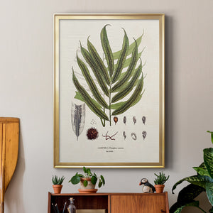 Botanical Society Ferns II Premium Framed Print - Ready to Hang